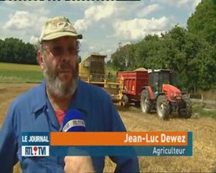 Agriculture  les moissons ont commencé