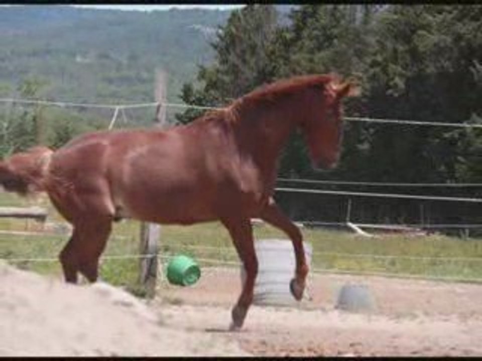 Fundador & Krak Juin 2009