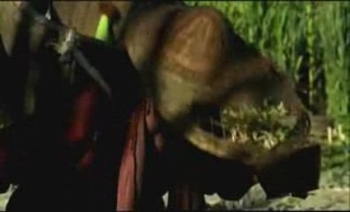 Siete espadas - Trailer Oficial Español