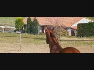 Othello & Koraly, c'est fini.