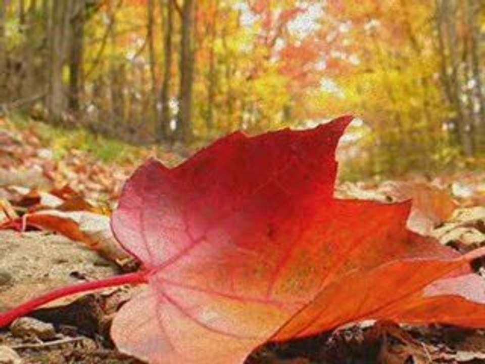 Murat Leventoğlu-Ağlama Yar