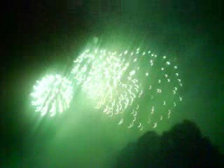 feu d'artifice 14 juillet 2009 strasbourg