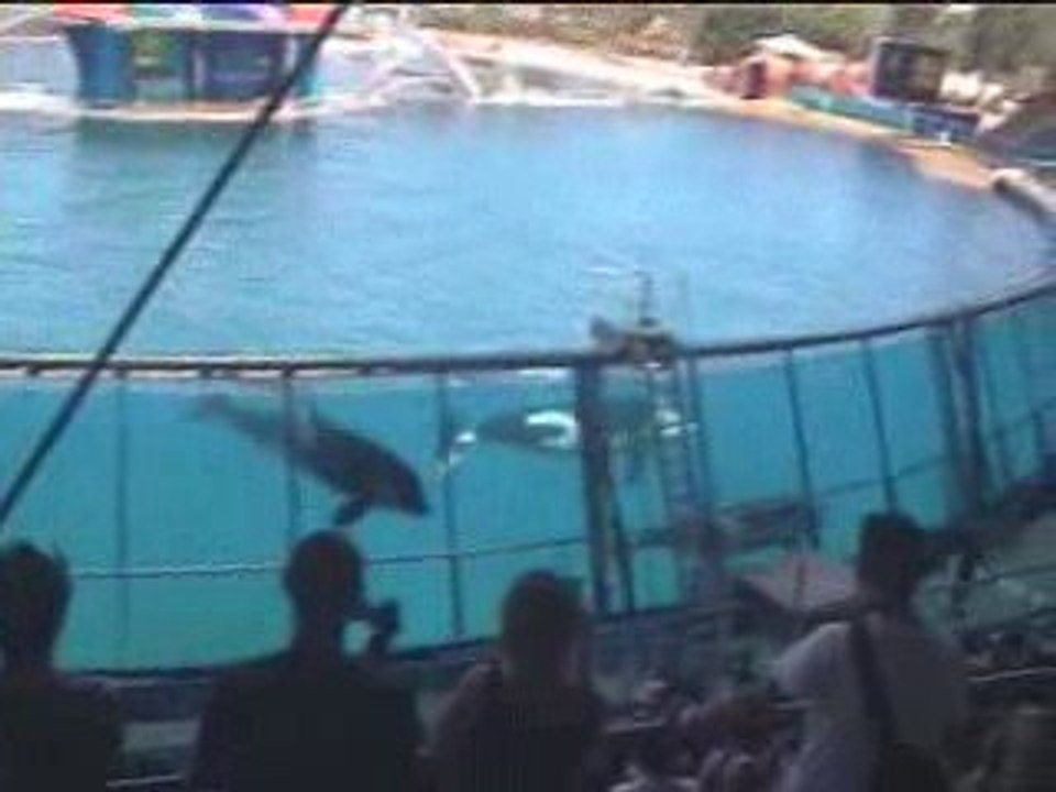 MARINELAND07_0001