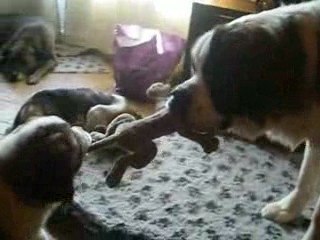 david contre goliath 2