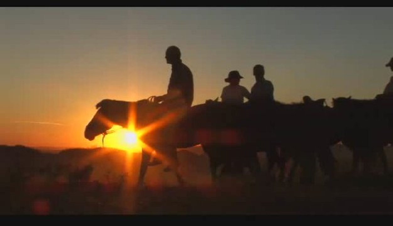 Cheval d'Aventure en Mongolie