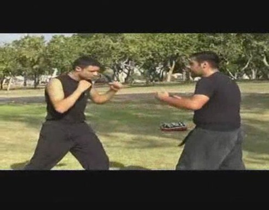 Tactique de combat israelien