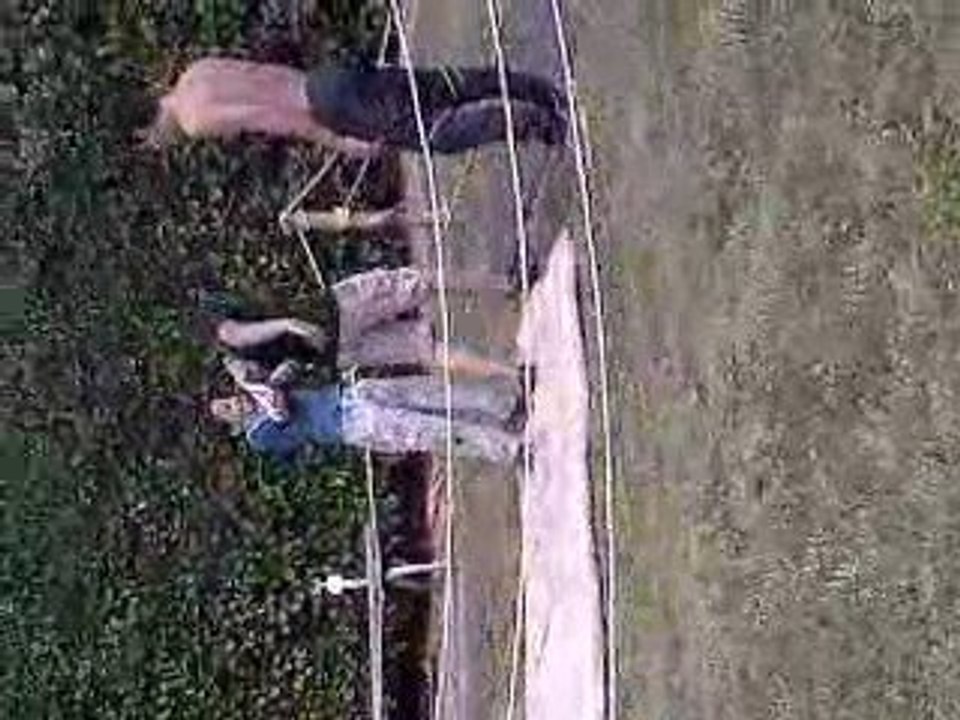 wwr jugment last part 2