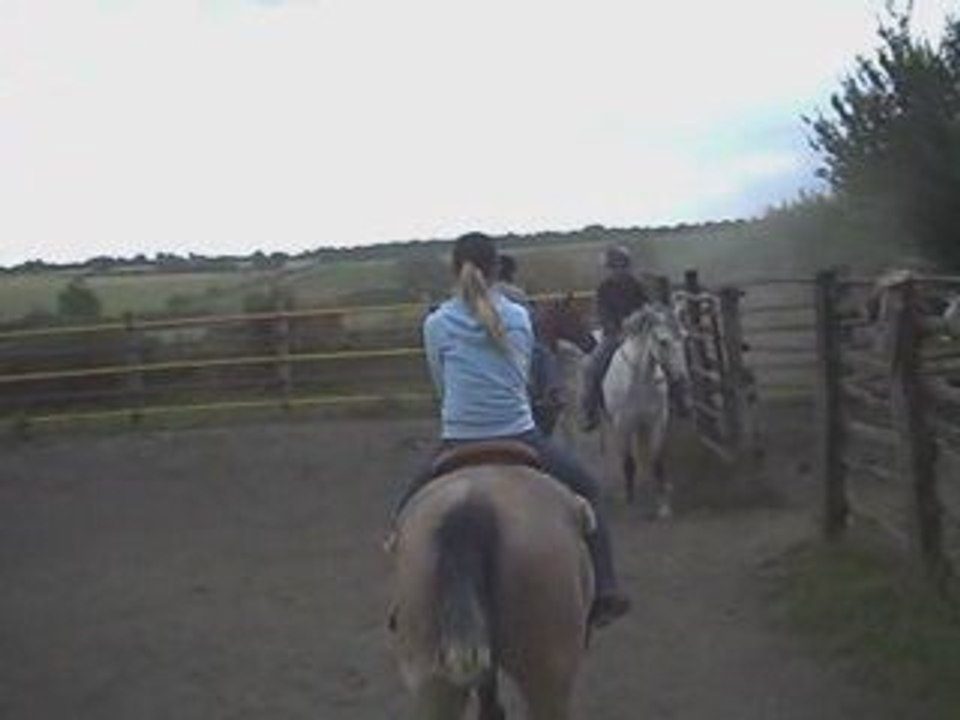 CUTTING Youth Arnaud Ranch