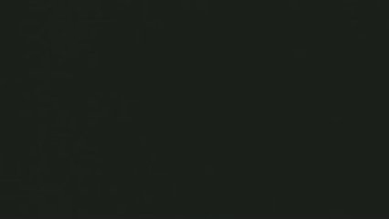 Feux d'artifices du 14 Juillet 2009