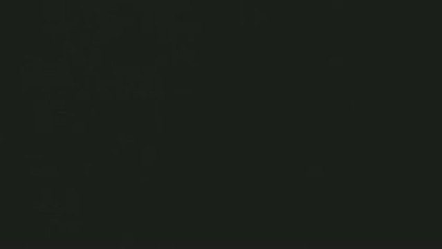 Spectacle du 14 juillet de Cruas.....