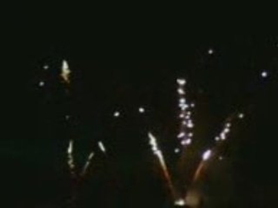 Feu d'artifice de Niort 2009