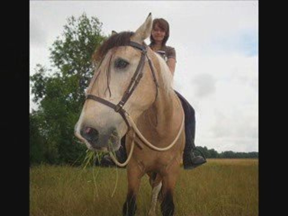 14 juillet 2009