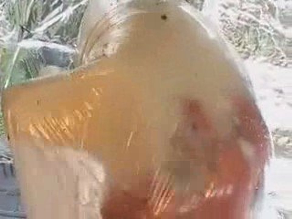 Crazy Alien or Human