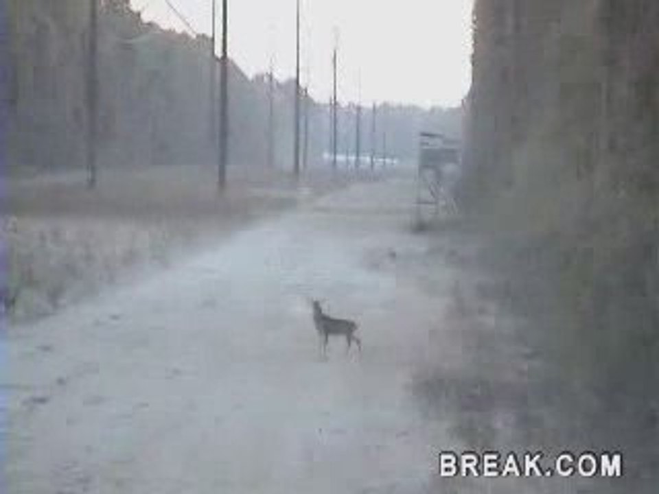 moi a la chasse