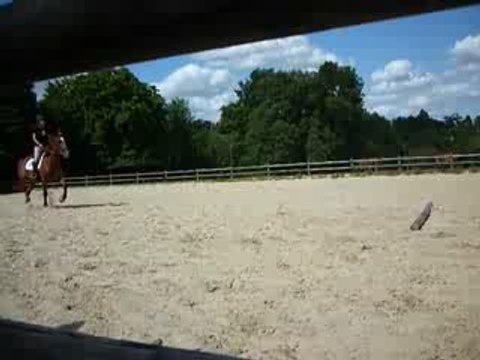 barres au sol début