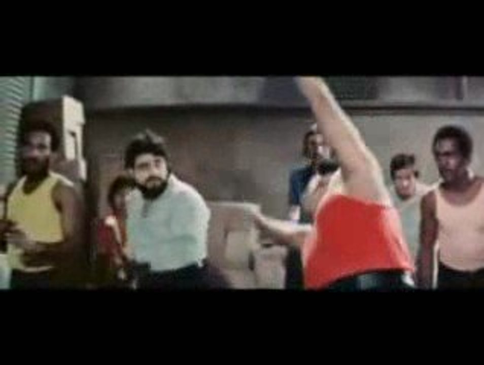 Bruce Lee Fighting