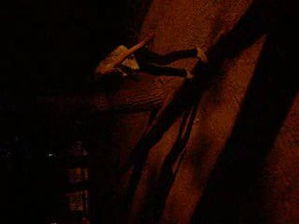 Jaki trois boules de glaces au citrons