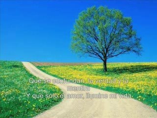 Chayanne - Solamente tu amor