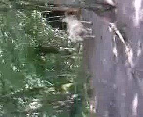 joyeux en cross mdr'