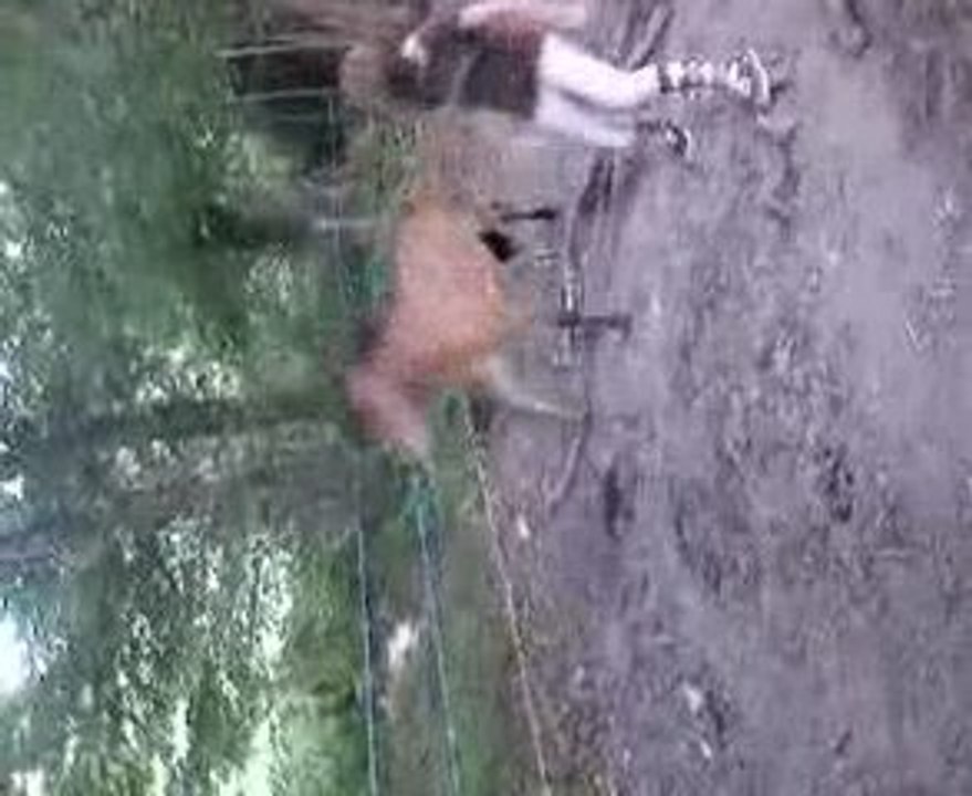 wandré en cross