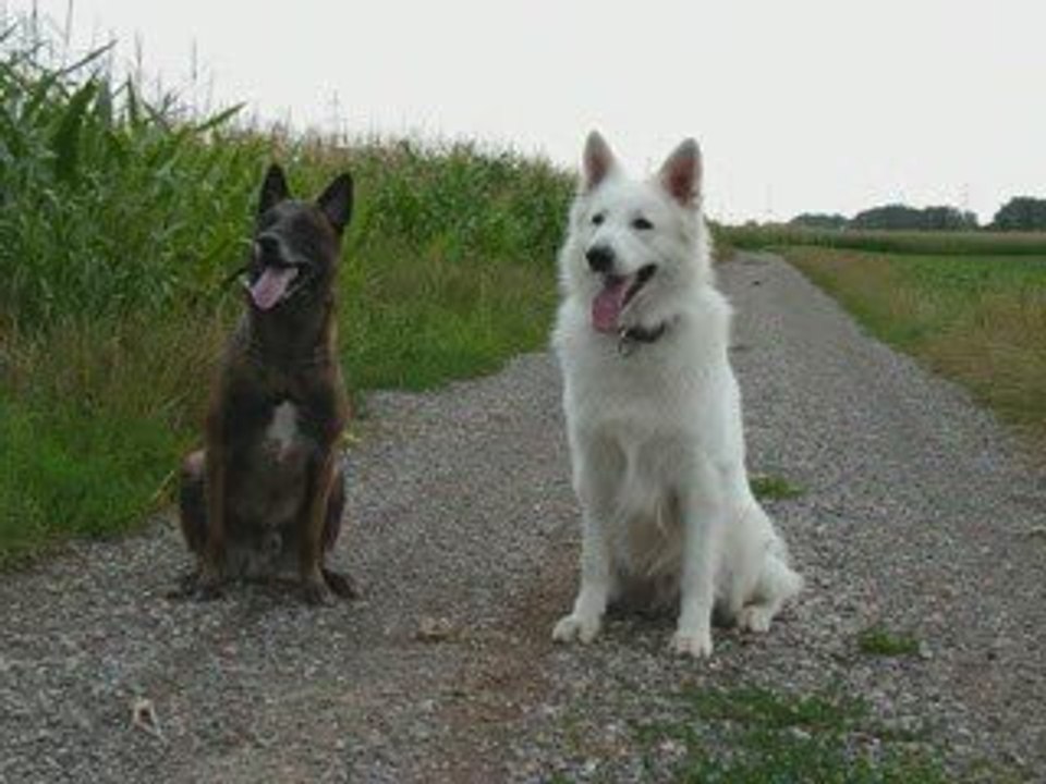 WEEK-END DU 14 15  JUILLET 2009