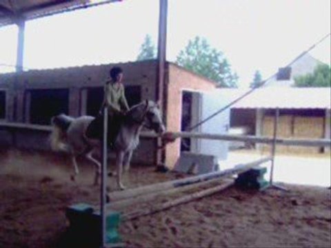 Seance de saut