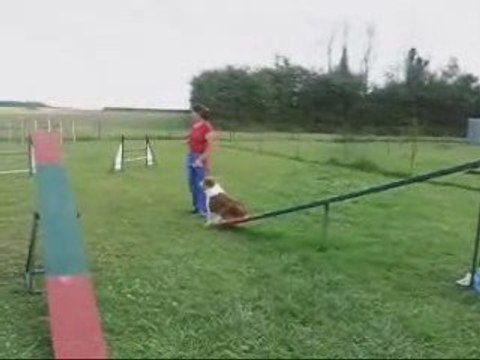 Déli agility 15 juillet 2009 partie1