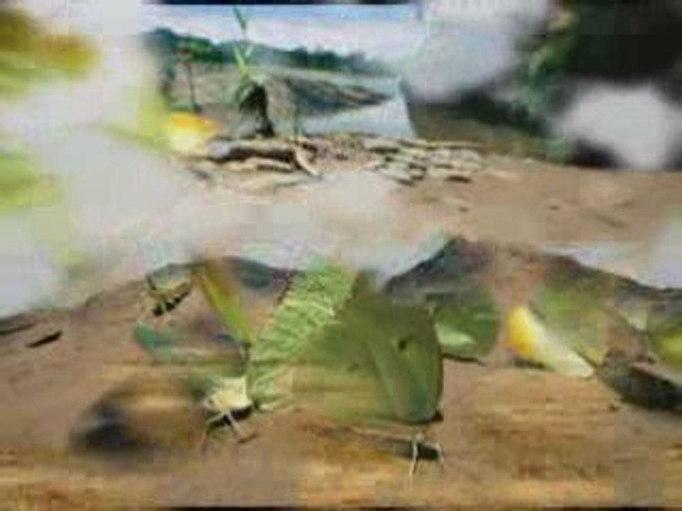 Dj Andi feat Stella - Freedom (original 2oo9)