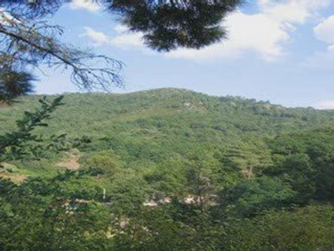 La meditación con fines terapéuticos