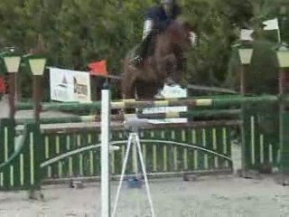 Caballo de 8 años por Cordalmé