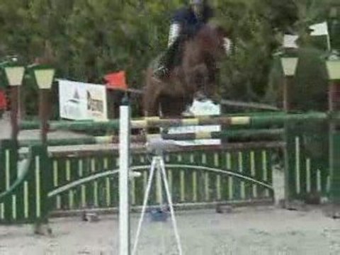 Caballo de 8 años por Cordalmé