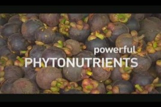 XanGo Cок для Вашей Семьи!