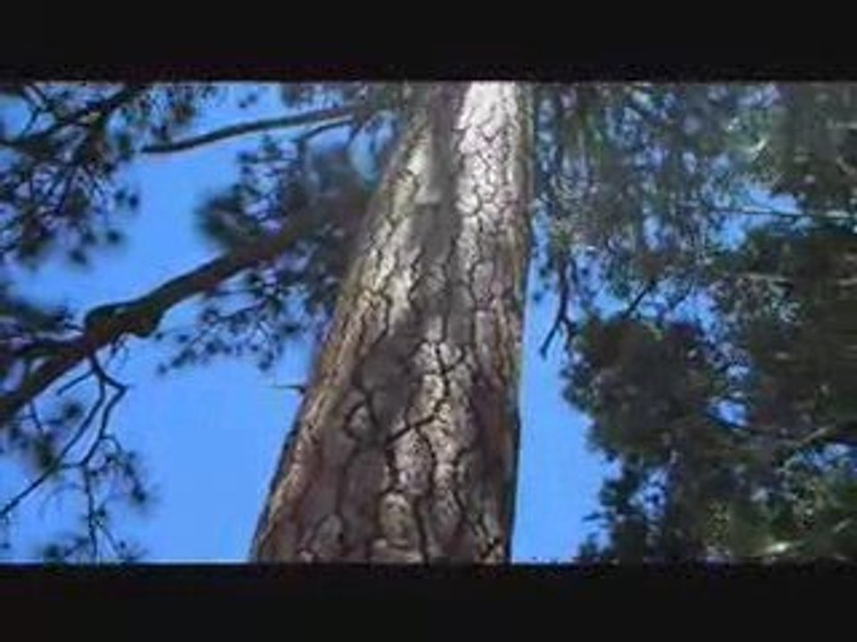 Mount Wilson Part 3