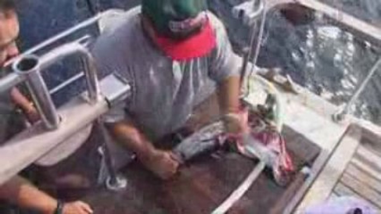 Fisherman's Paradise - Big Fish Productions