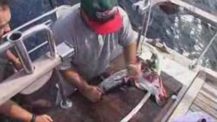 Fisherman's Paradise - Big Fish Productions