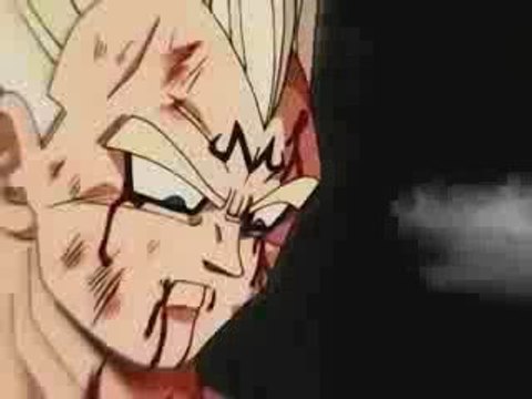 [DBZ] Nobodys Fool