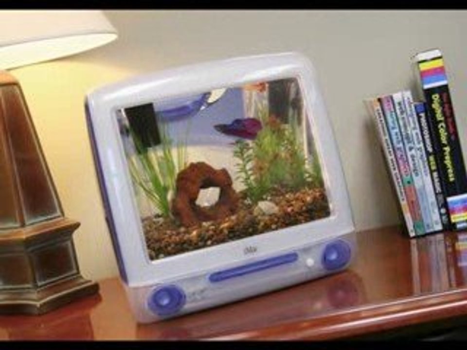 iMacquarium