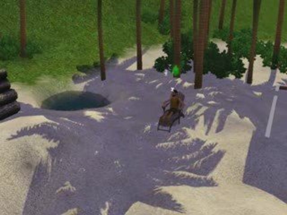 film sims 3