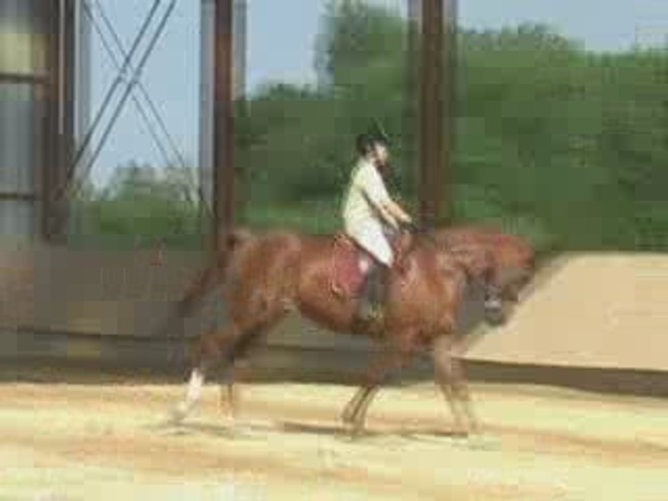 11.07.09 - Galop 7 Claire