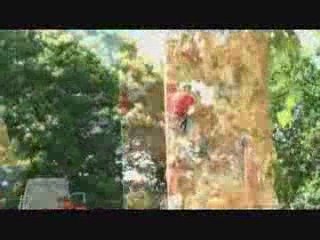 Animations Team Building