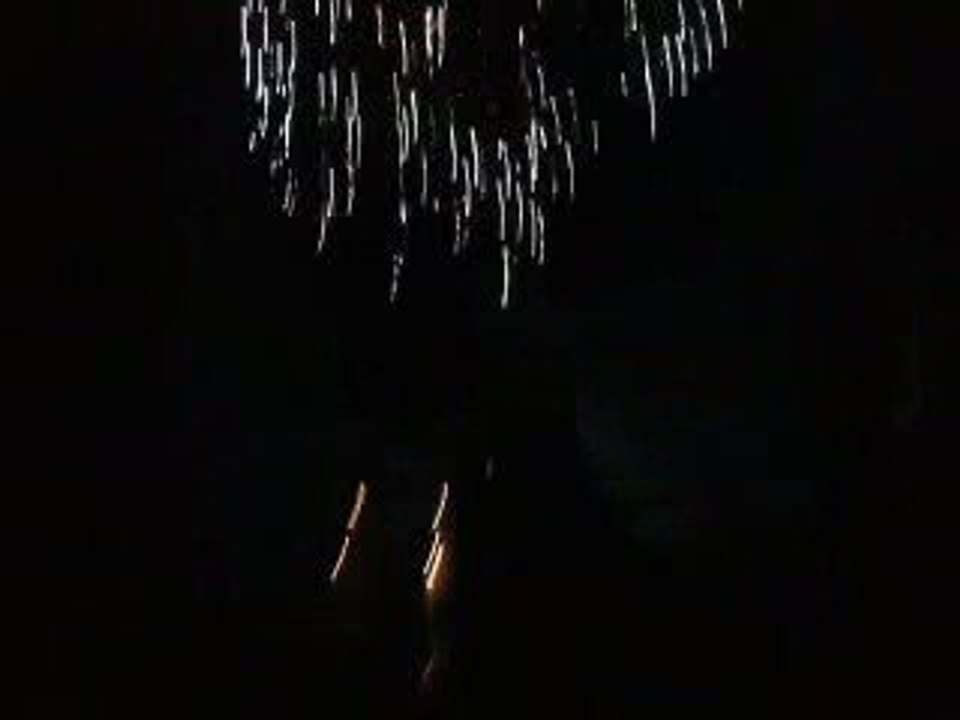 feux d'artifice mulhouse 2009 # 2