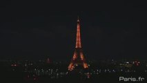 Feu d'artifice vu du Champ de mars et du musée de l'homme