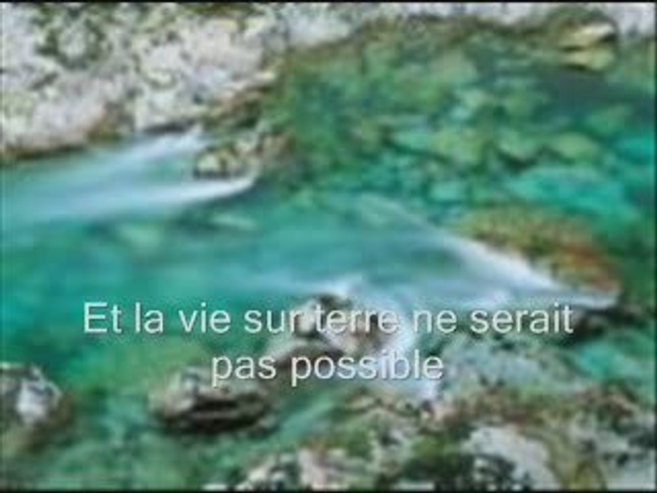 Les Anges Gardien