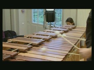 She-e Wu, marimba player, by Richard Bois