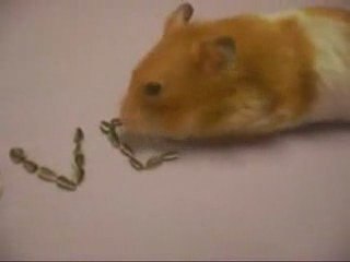 Bakın Aşkını Nasıl İtiraf Ediyor..