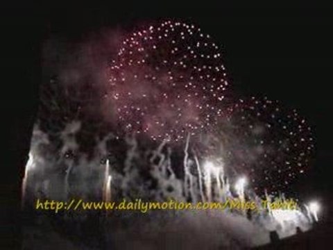 Carcassonne-14 Juillet 2009-Cérémonie et Feux D'Artifice