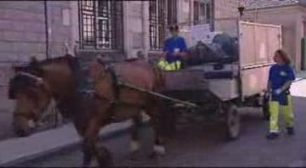 1er cheval territorial de Bourgogne à Saulieu