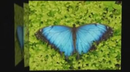 Hong Kong is a divine explosion of east meeting west