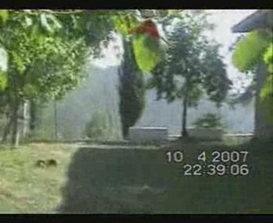 Artvin Erenler İrsa Köyü part1