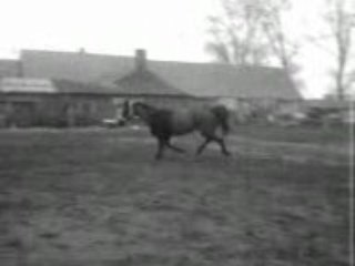 noiraude saut en liberté